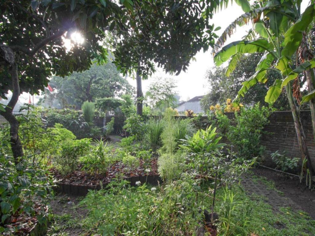 Bhumi Hostel Джокьякарта Экстерьер фото